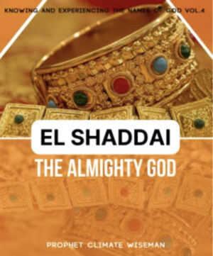 el shaddi